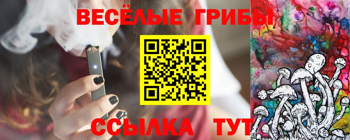 Псилоцибиновые грибы Psilocybine cubensis Лабытнанги